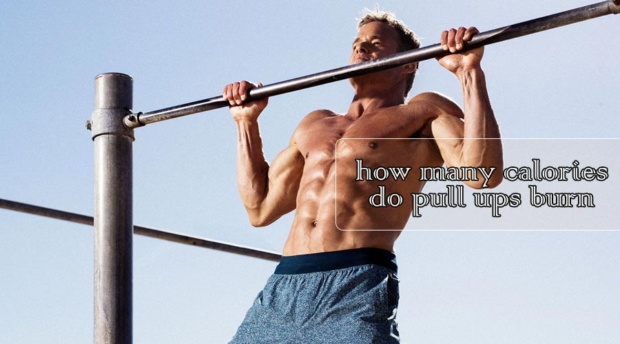 how many calories do pull ups burn