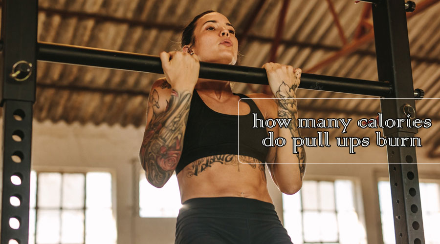 how many calories do pull ups burn