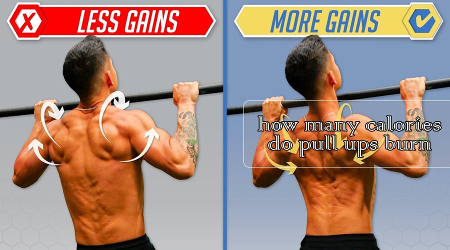 how many calories do pull ups burn